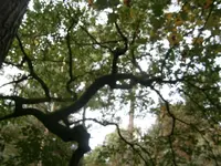 PA030572.webp