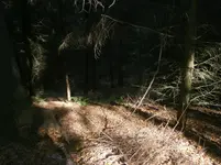 PA030574.webp