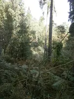 PA030575.webp