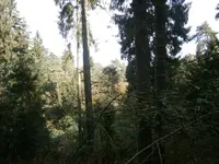 PA030576.webp