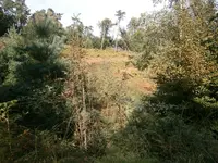PA030577.webp