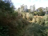 PA030578.webp