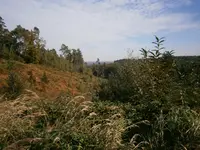 PA030579.webp