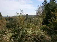 PA030580.webp