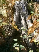 PA030582.webp