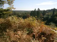 PA030585.webp