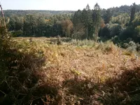 PA030586.webp