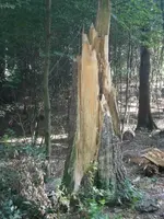 PA030587.webp