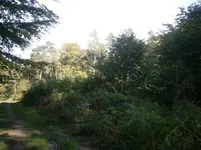 PA030588.webp