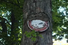 DSCF3691.webp
