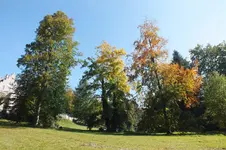 DSCF3660.webp