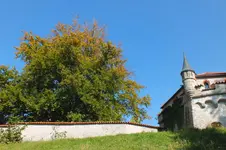 DSCF3673.webp