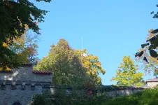 DSCF3675.webp