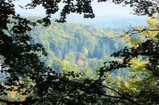 DSCF3681 (2).webp