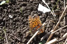 DSCF3579.webp