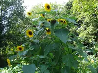 DSC04643.webp