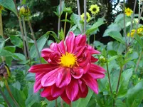 DSC04654.webp