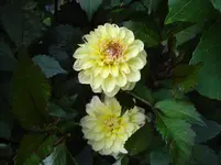 DSC04655.webp