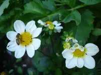 DSC04656.webp
