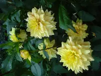 DSC04659.webp