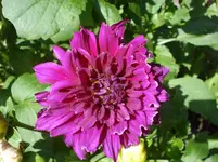 DSC04663.webp