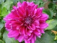 DSC04671.webp
