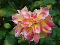 DSC04672.webp