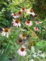 DSCN0058.webp