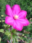 IMG_20151003_145617.jpg
