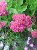 IMG_20151003_145729.webp