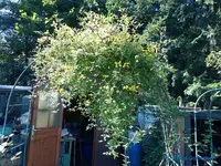 comp_P1250768.webp