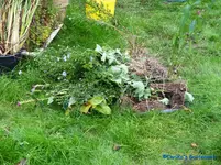 comp_P1250806.webp