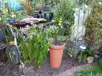 comp_P1250808.webp