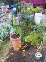 comp_P1250809.webp