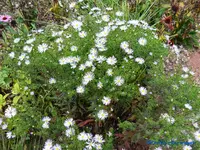 comp_P1250810.webp