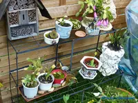 comp_P1250816.webp