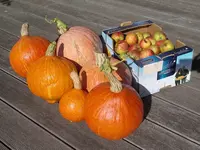 IMGP8227.webp