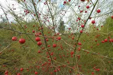 DSCF3700.webp