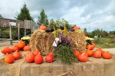 DSCF3704 (2).webp