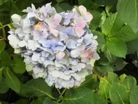 Bilda150.webp