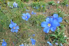 DSCF3699 (2).webp