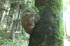 DSCF3561.webp