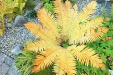 DSCF3528 (2).webp