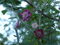 P1540237.webp
