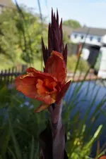 _DSC9439.webp