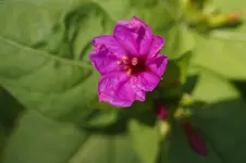 _DSC9463.webp