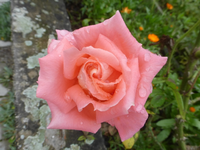 P1540152.webp