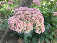 P1530540.webp