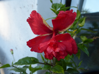 P1540231.webp