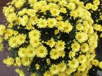 Bilda003.webp